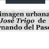 Conferencia “El espacio urbano en José Trigo” dirigida por la doctora Priscila Morales Moreno